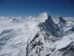 Take a look at the Views